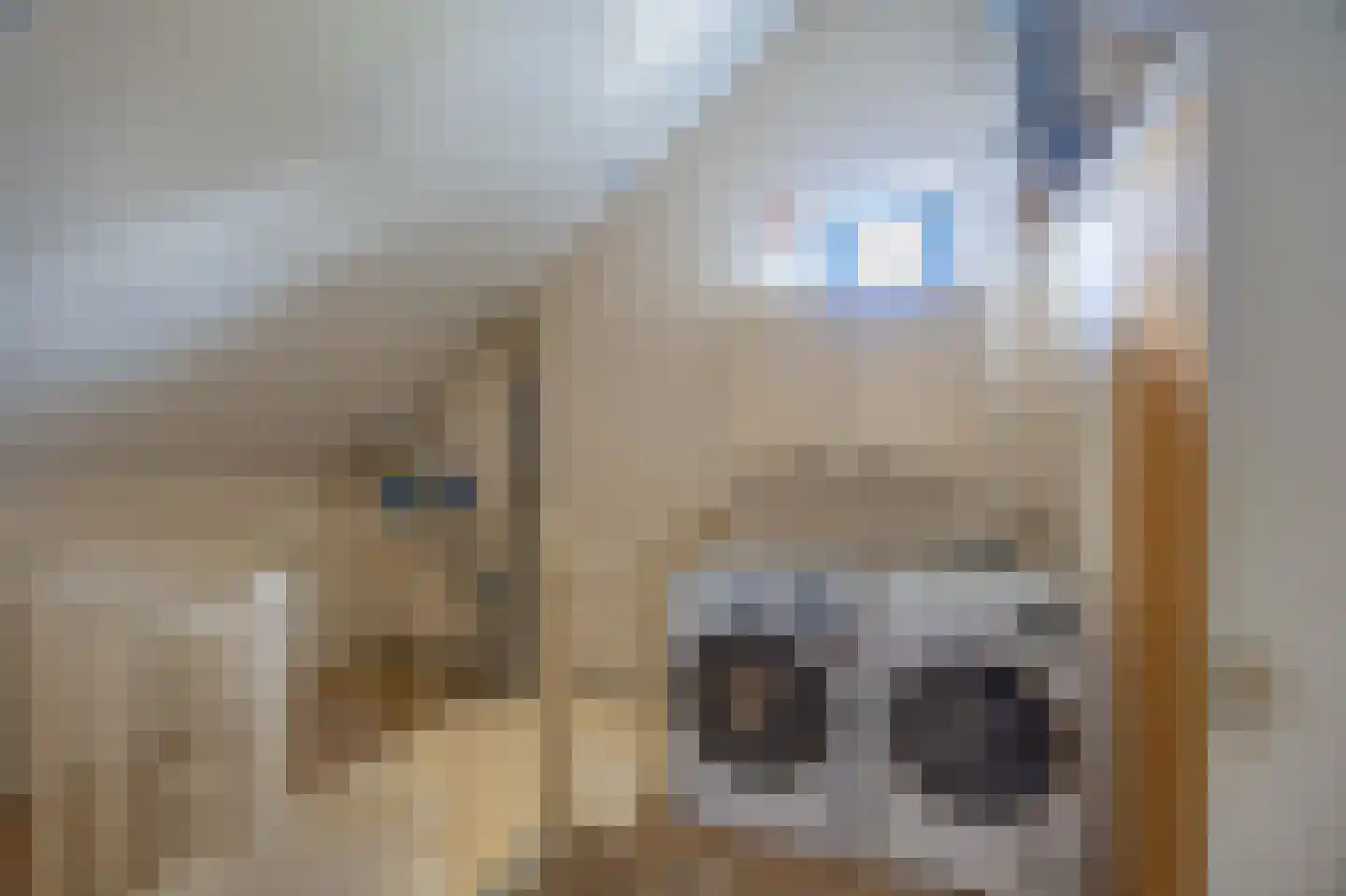 Vossestaart 41 Venray thumbnail 37