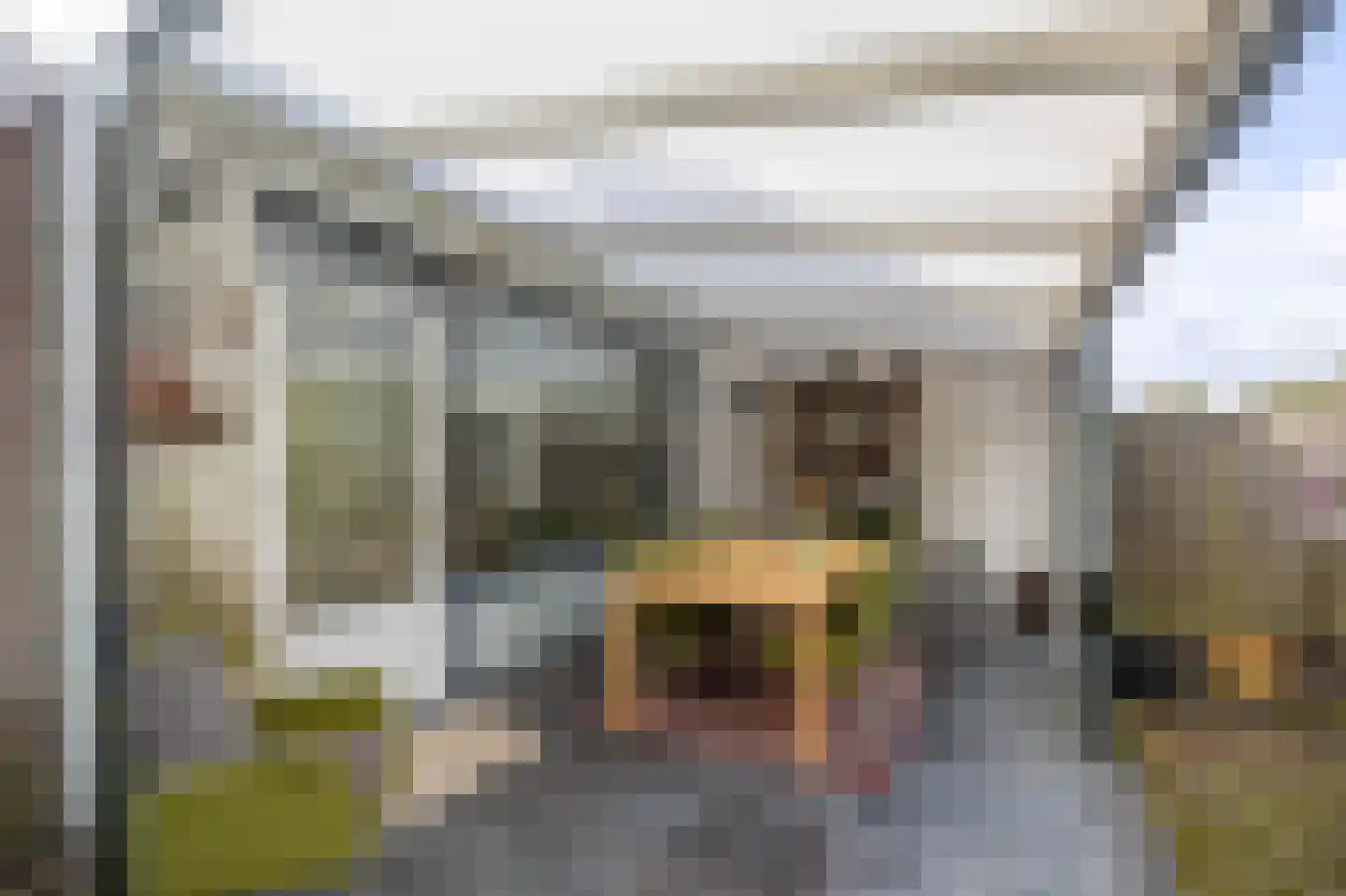 Vossestaart 41 Venray thumbnail 42
