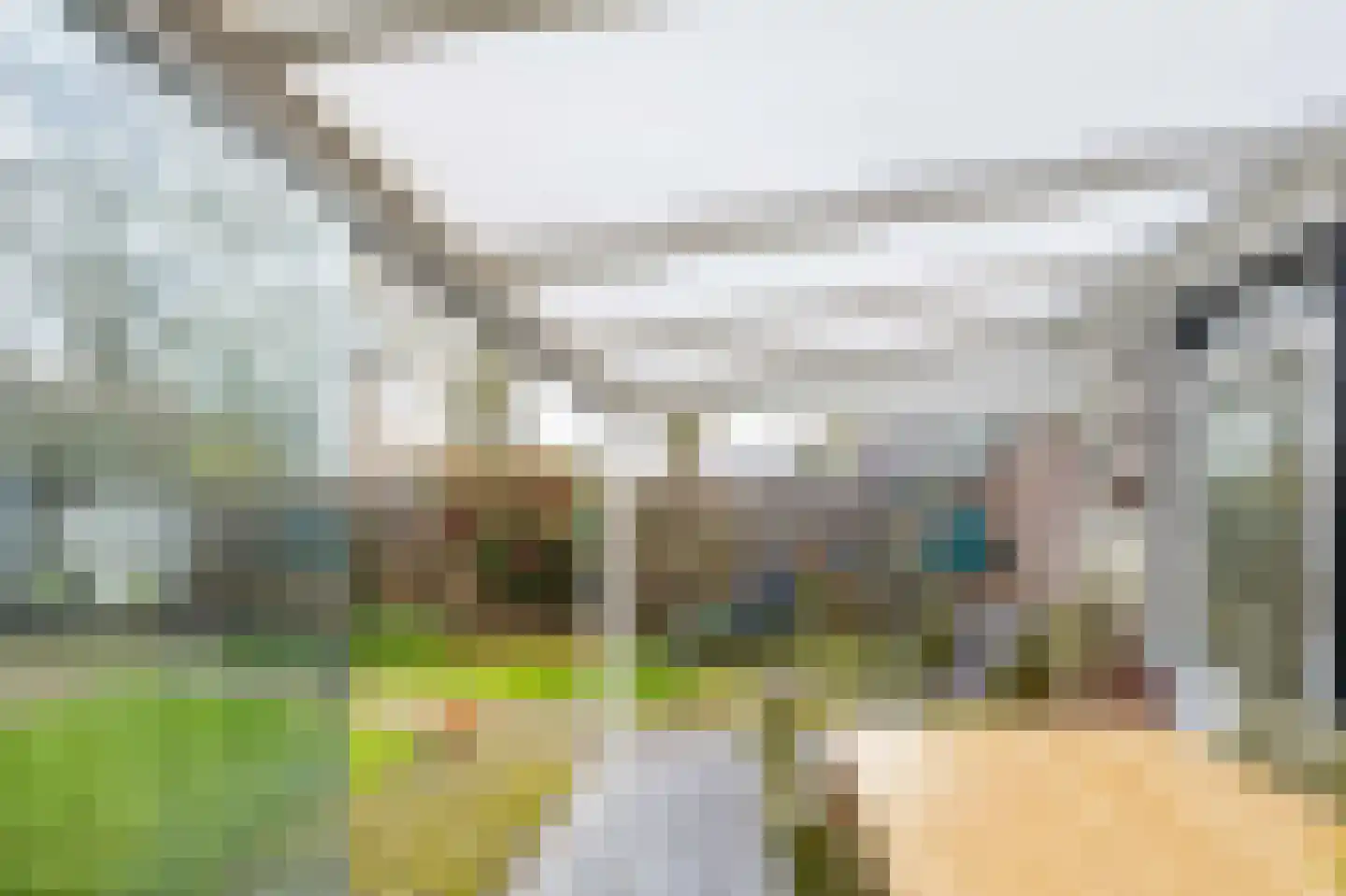 Vossestaart 41 Venray thumbnail 43