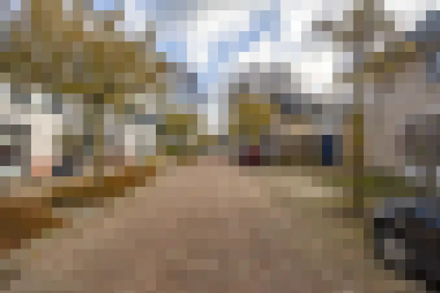 Vossestaart 41 Venray thumbnail 5