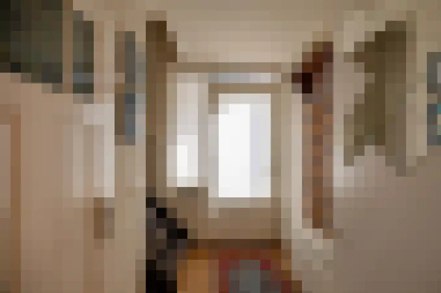Vossestaart 41 Venray thumbnail 7