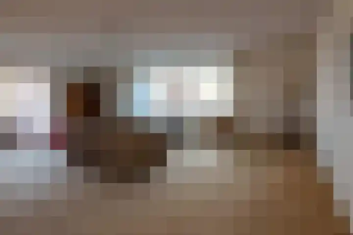 Vossestaart 48 Genemuiden thumbnail 10