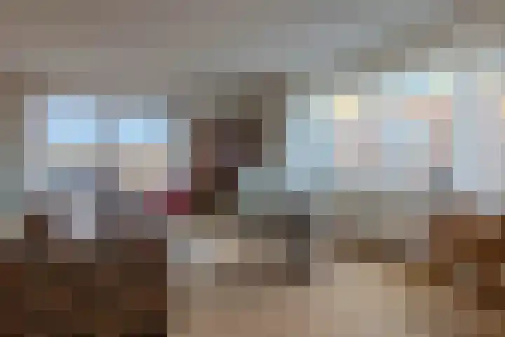 Vossestaart 48 Genemuiden thumbnail 11