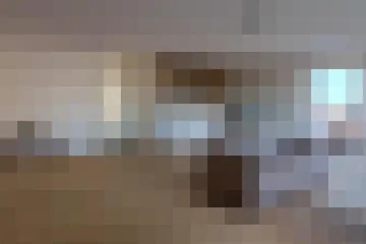 Vossestaart 48 Genemuiden thumbnail 14