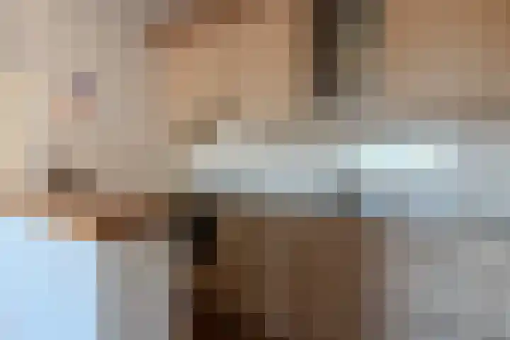 Vossestaart 48 Genemuiden thumbnail 17