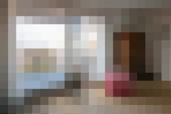 Vossestaart 48 Genemuiden thumbnail 18