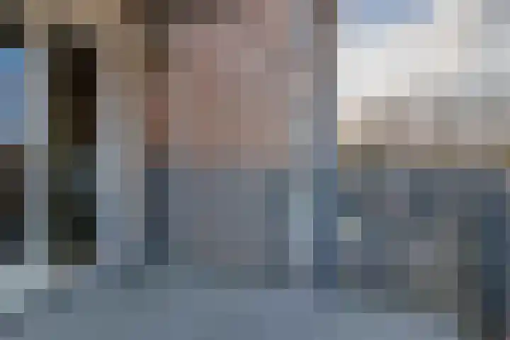 Vossestaart 48 Genemuiden thumbnail 19