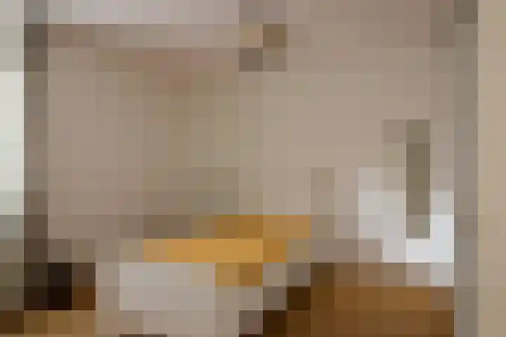 Vossestaart 48 Genemuiden thumbnail 21
