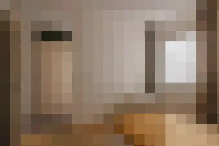 Vossestaart 48 Genemuiden thumbnail 22