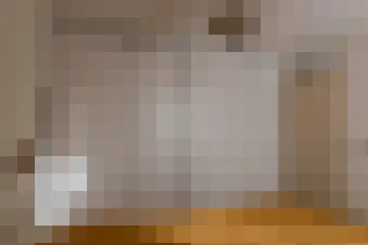 Vossestaart 48 Genemuiden thumbnail 23