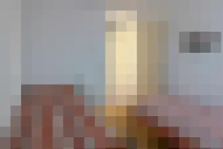 Vossestaart 48 Genemuiden thumbnail 25