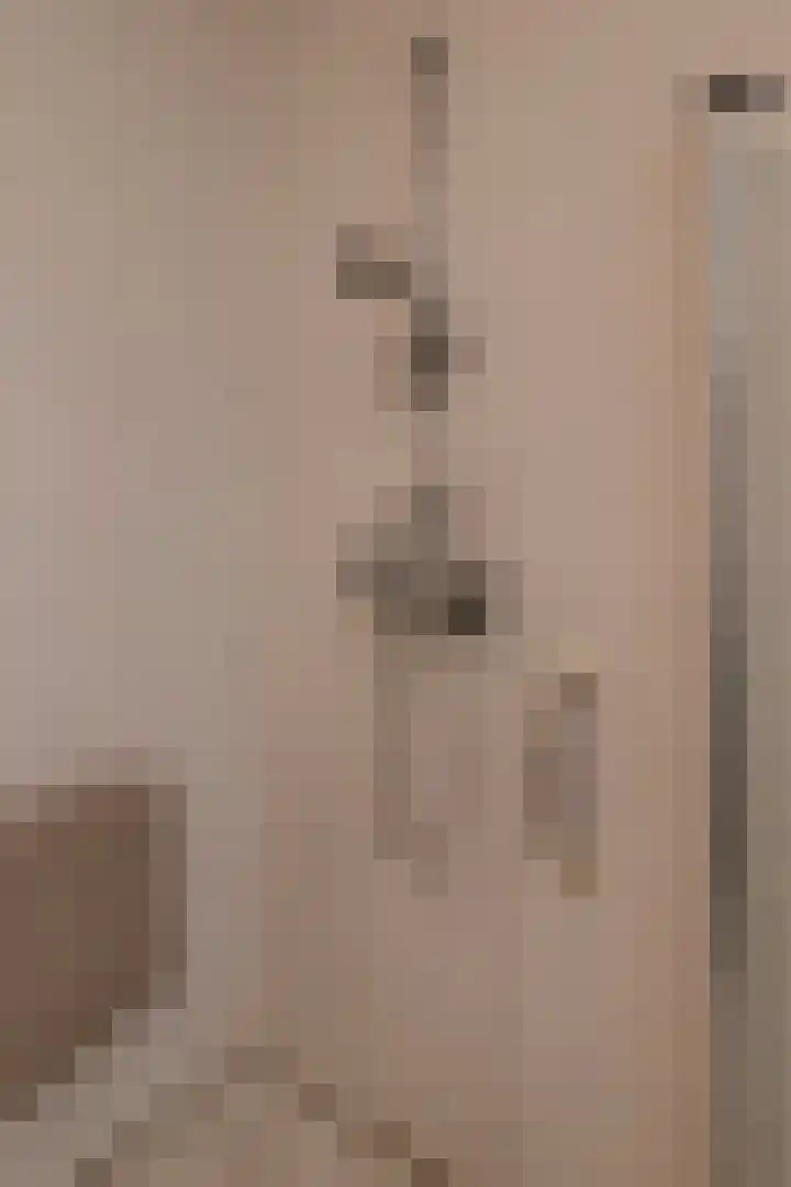 Vossestaart 48 Genemuiden thumbnail 27