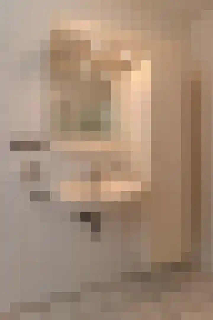 Vossestaart 48 Genemuiden thumbnail 28