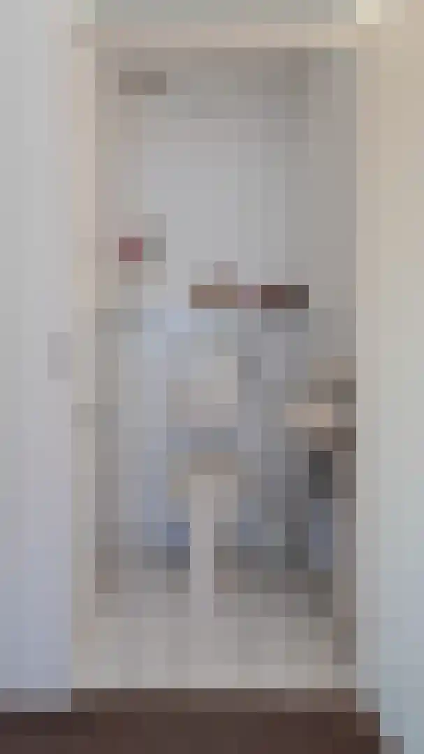 Vossestaart 48 Genemuiden thumbnail 29