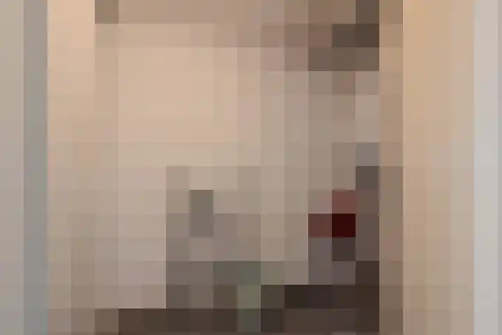 Vossestaart 48 Genemuiden thumbnail 30