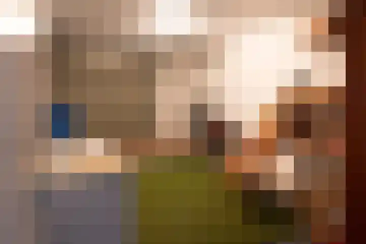 Vossestaart 48 Genemuiden thumbnail 31