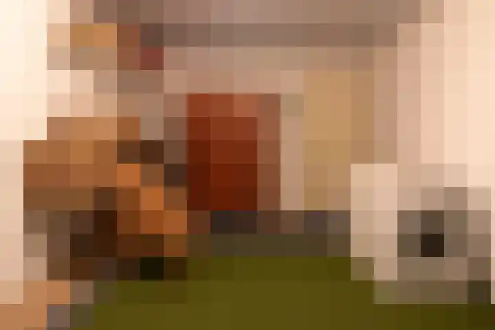 Vossestaart 48 Genemuiden thumbnail 32