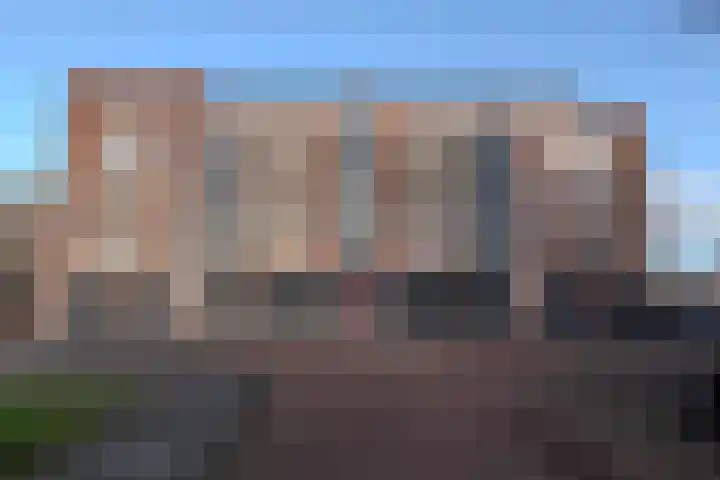 Vossestaart 48 Genemuiden thumbnail 33