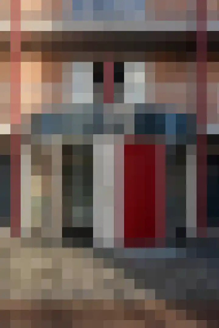 Vossestaart 48 Genemuiden thumbnail 34