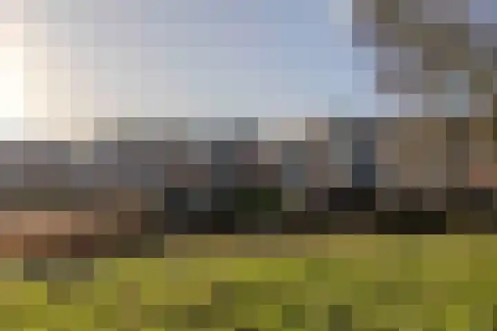 Vossestaart 48 Genemuiden thumbnail 37