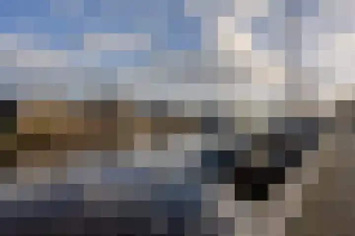 Vossestaart 48 Genemuiden thumbnail 41