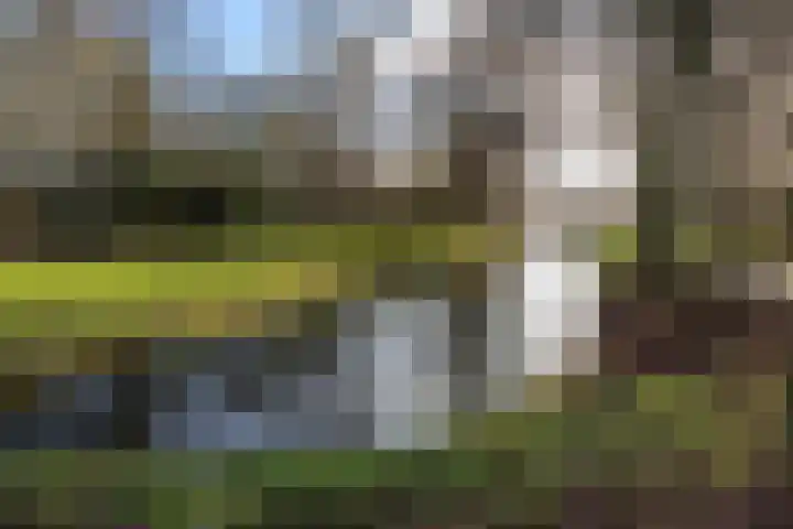 Vossestaart 48 Genemuiden thumbnail 42