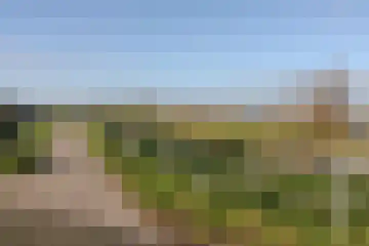 Vossestaart 48 Genemuiden thumbnail 43