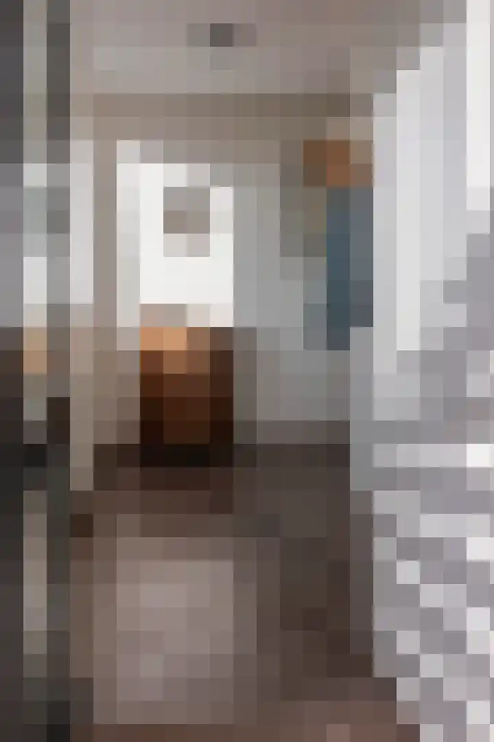 Vossestaart 48 Genemuiden thumbnail 8