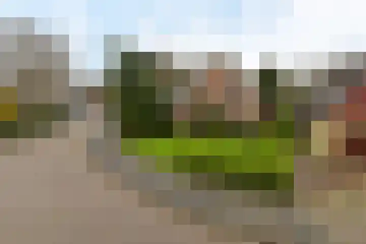 Vossestaart 5 Wilnis thumbnail 30