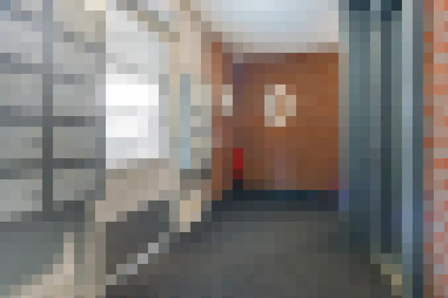 Vossestaart 70 Genemuiden thumbnail 14