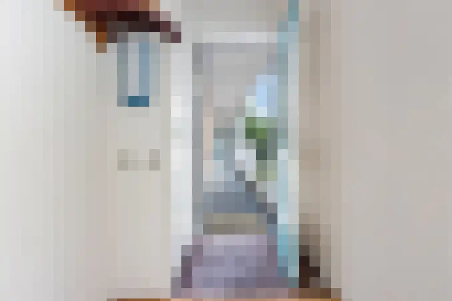 Vossestaart 70 Genemuiden thumbnail 17