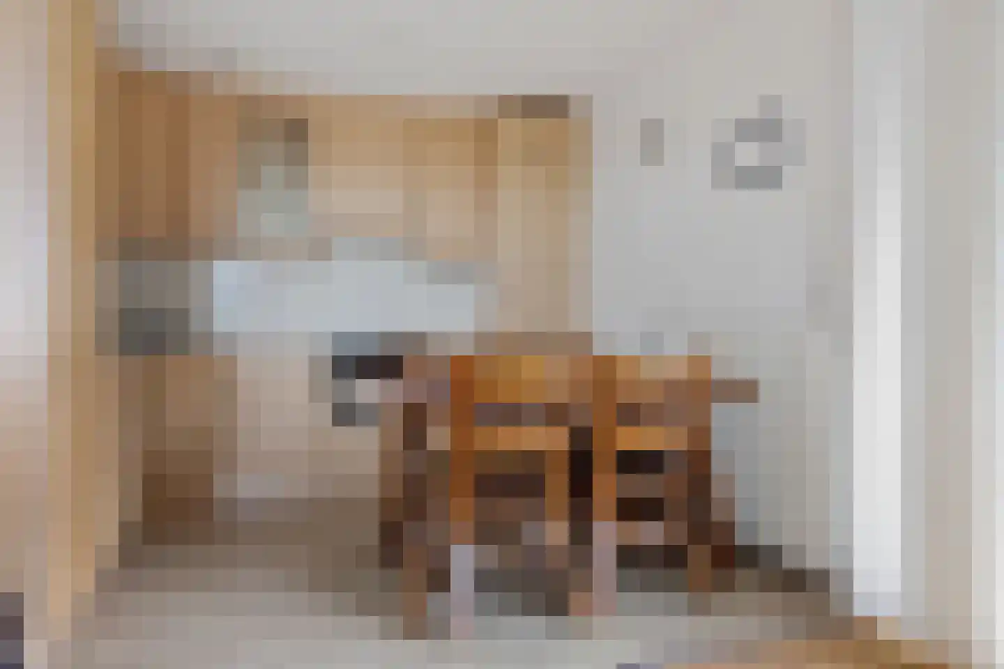 Vossestaart 70 Genemuiden thumbnail 25