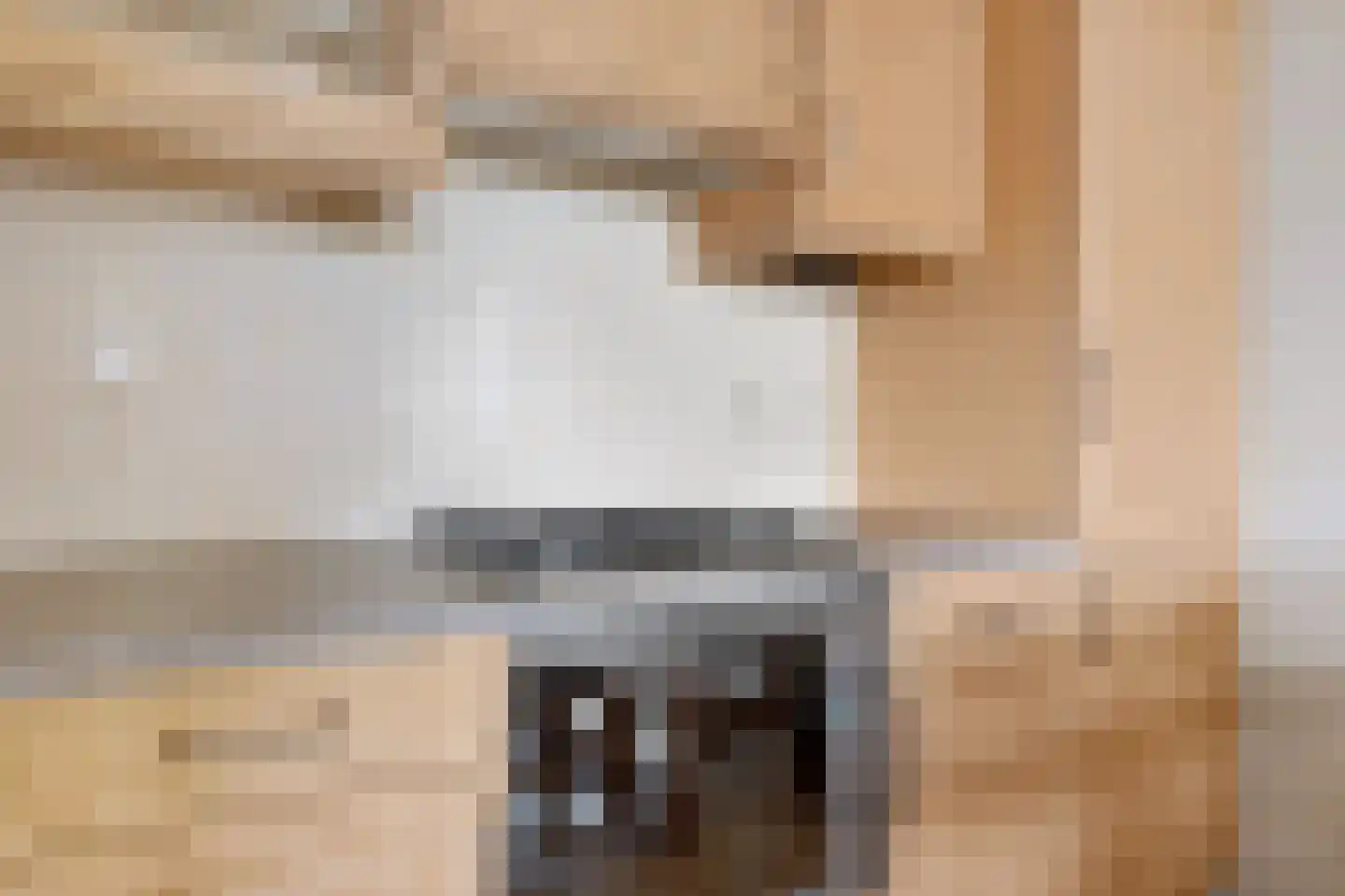 Vossestaart 70 Genemuiden thumbnail 26