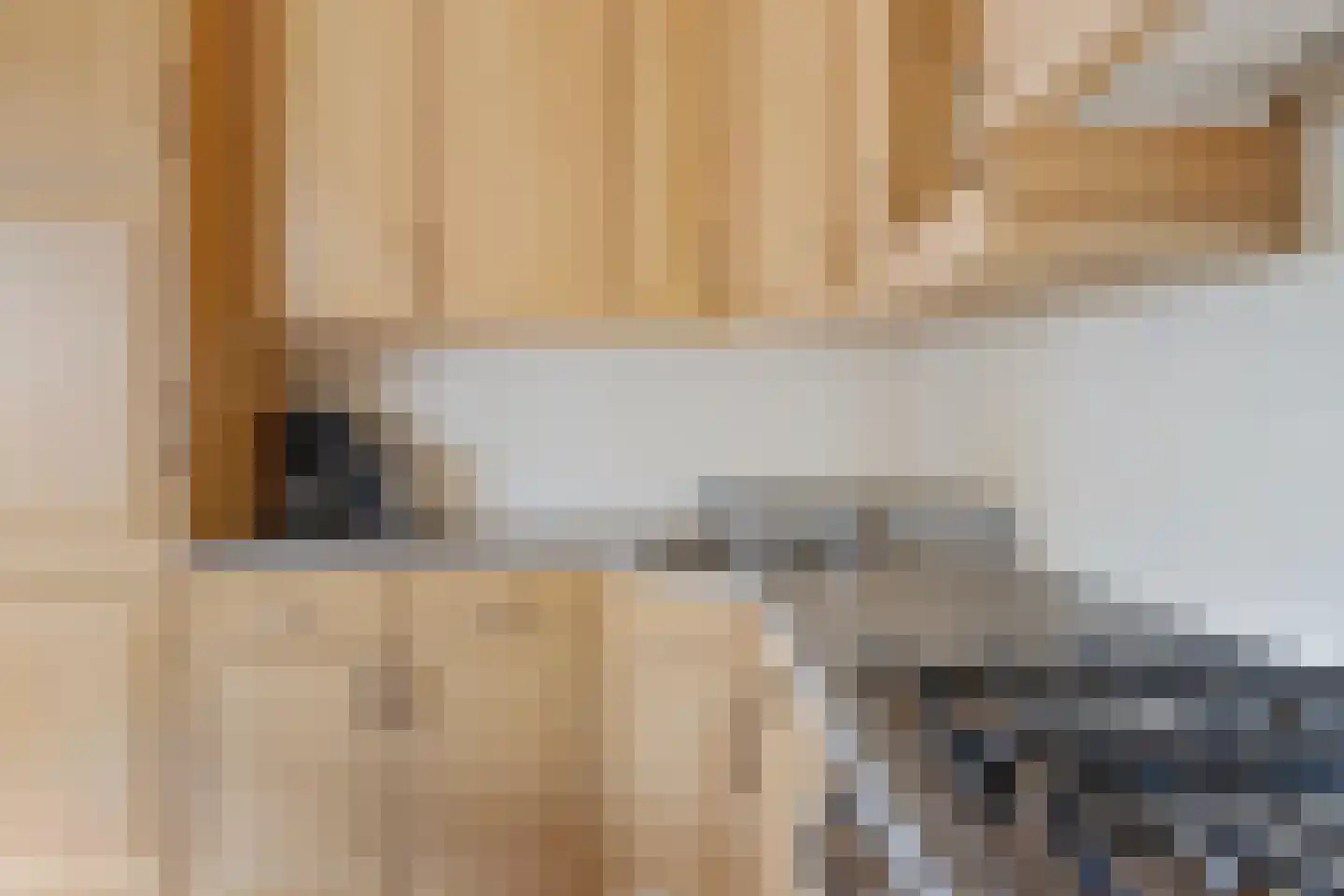 Vossestaart 70 Genemuiden thumbnail 27