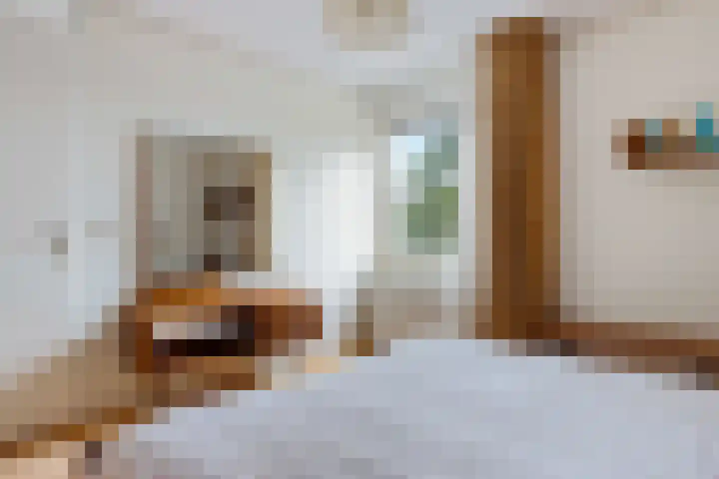 Vossestaart 70 Genemuiden thumbnail 33