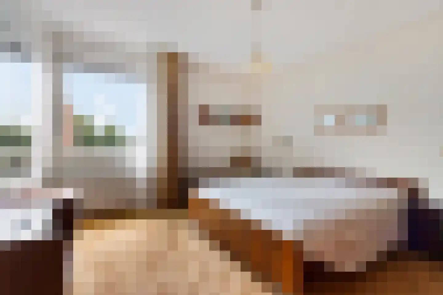 Vossestaart 70 Genemuiden thumbnail 34