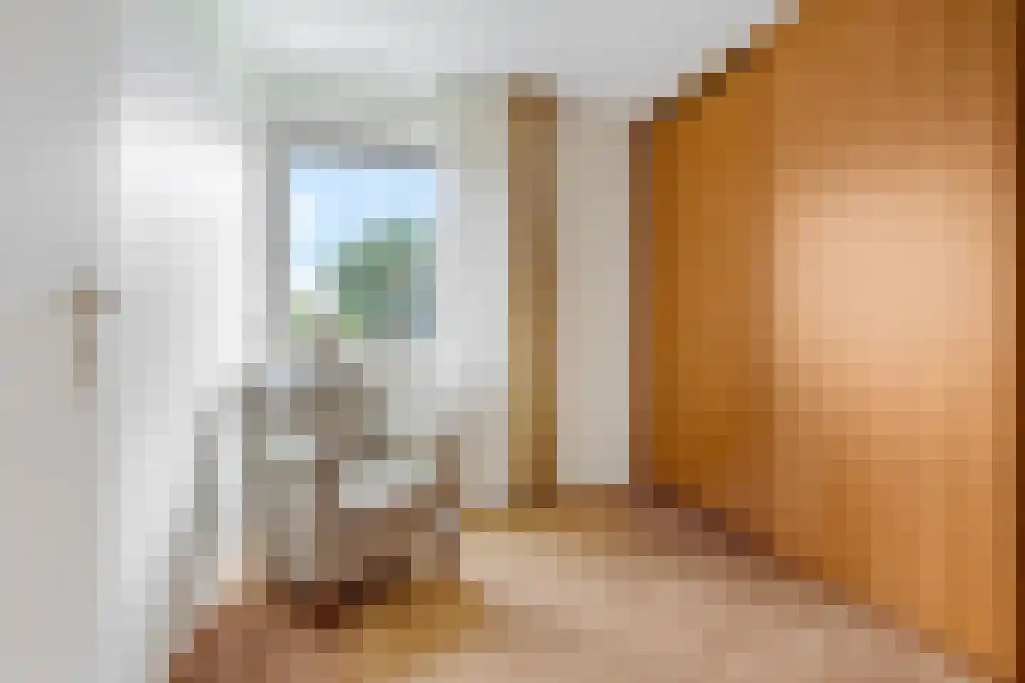 Vossestaart 70 Genemuiden thumbnail 35