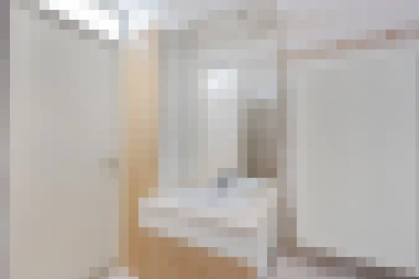 Vossestaart 70 Genemuiden thumbnail 40