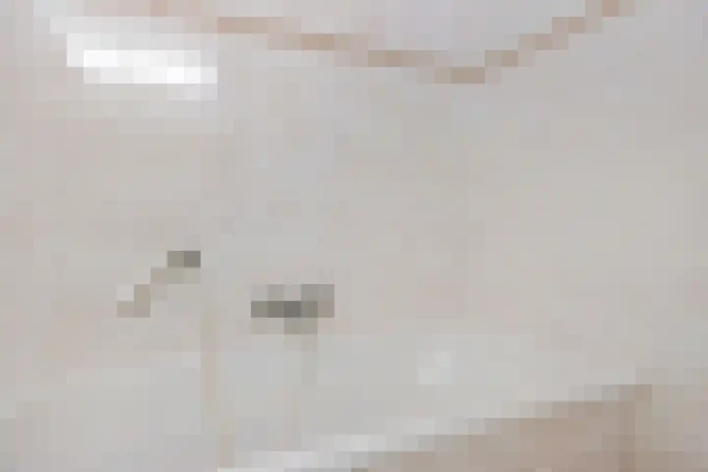 Vossestaart 70 Genemuiden thumbnail 42