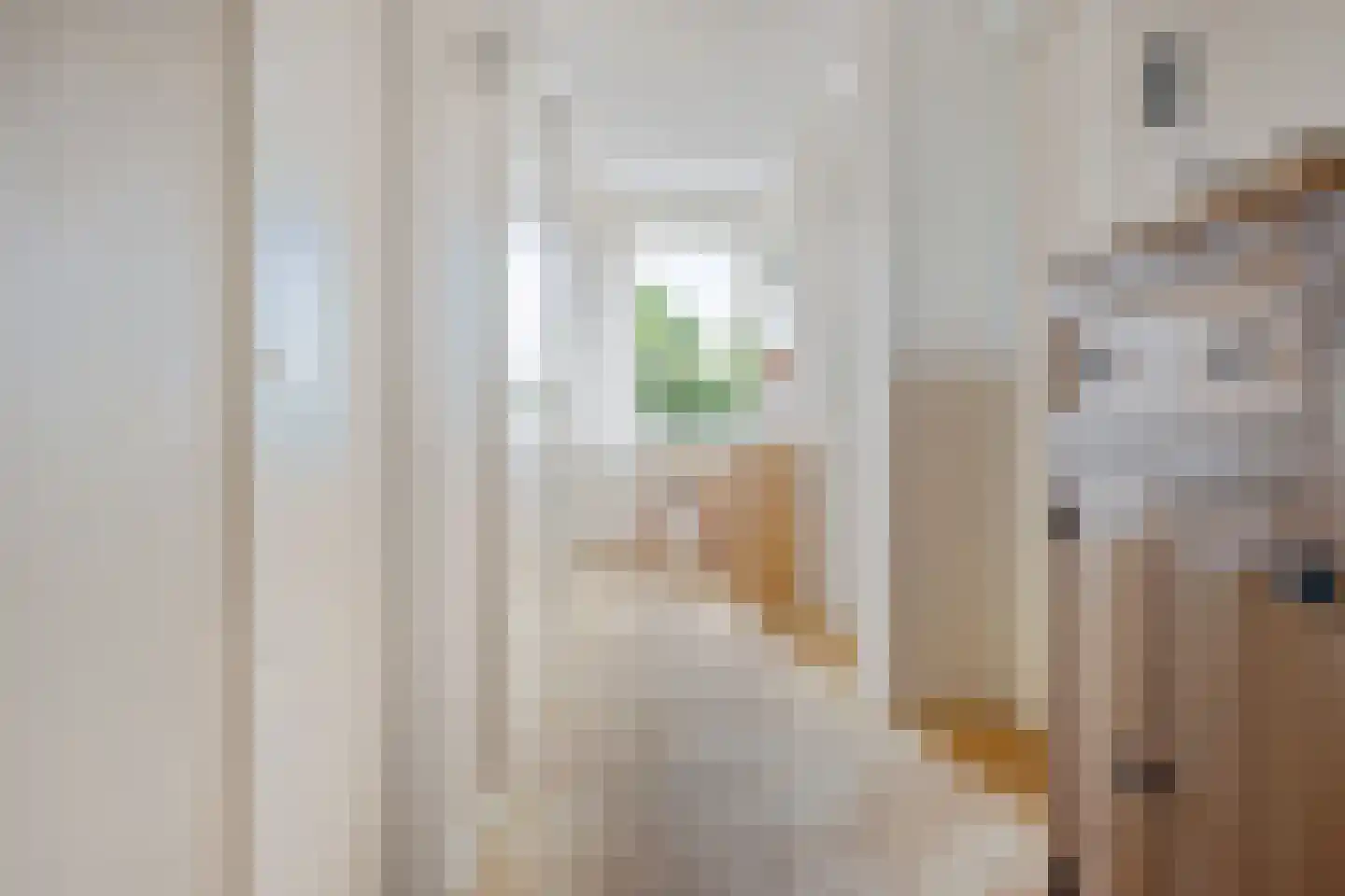 Vossestaart 70 Genemuiden thumbnail 44