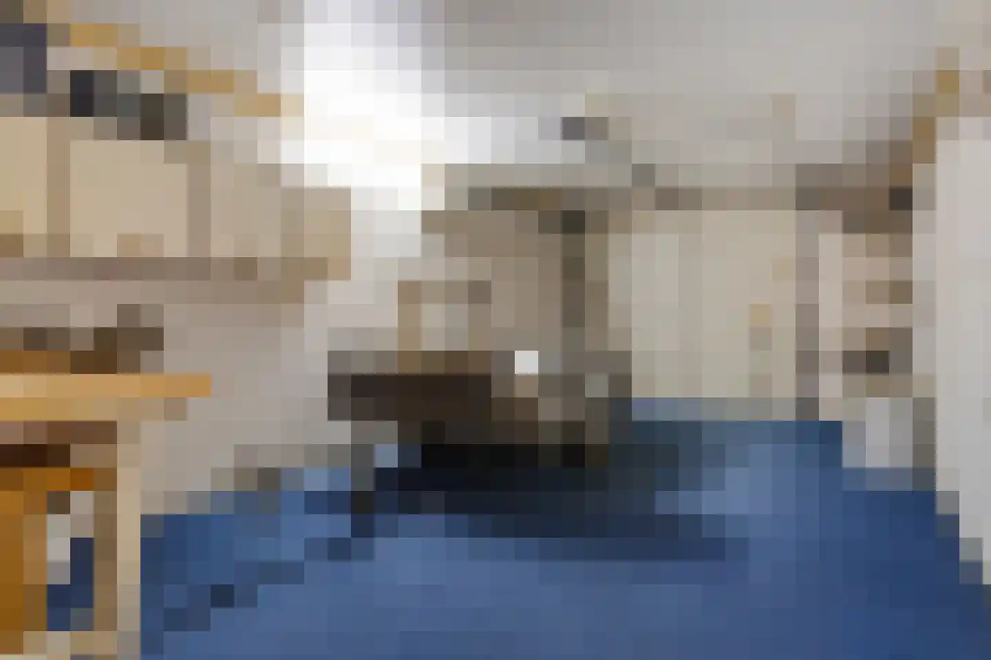 Vossestaart 70 Genemuiden thumbnail 46