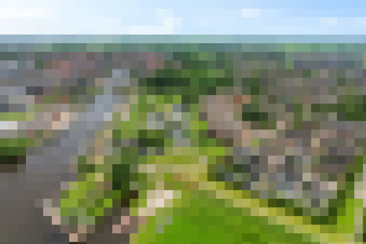 Vossestaart 70 Genemuiden thumbnail 7