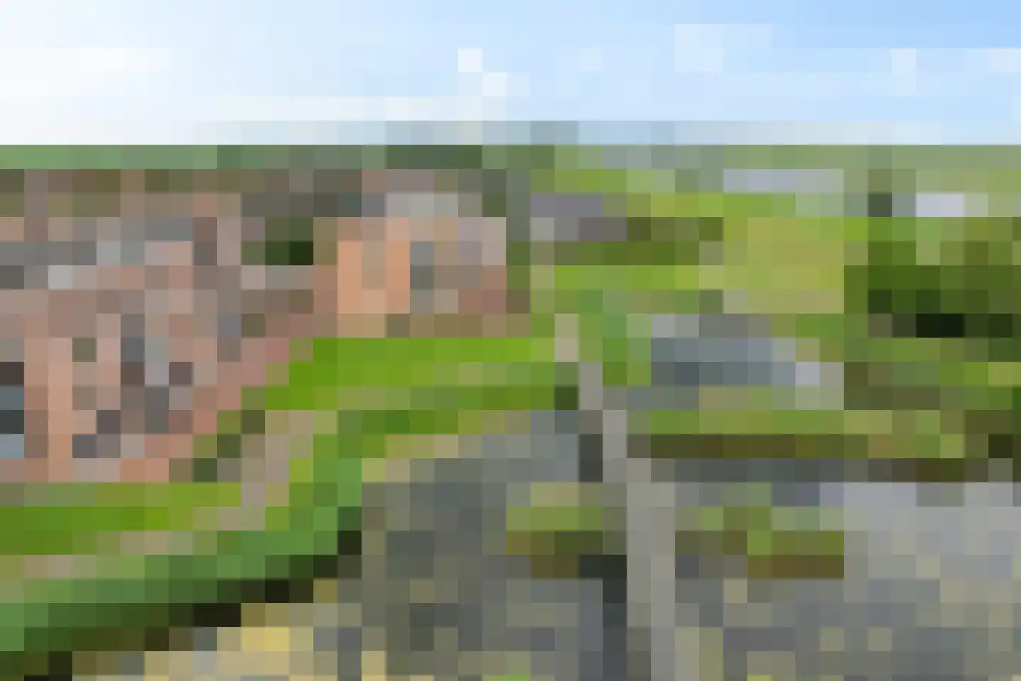 Vossestaart 70 Genemuiden thumbnail 8