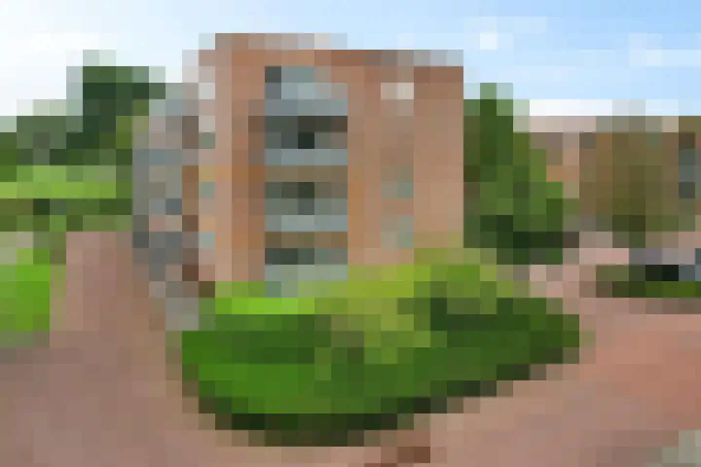 Vossestaart 70 Genemuiden thumbnail 9