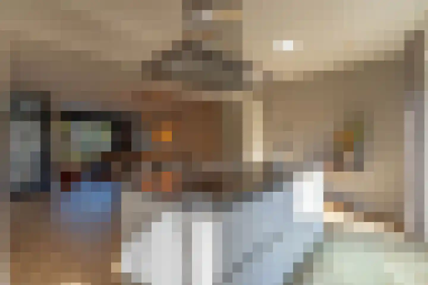 Vossestaart 8 Venray thumbnail 20