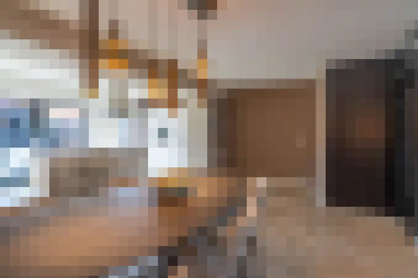 Vossestaart 8 Venray thumbnail 27