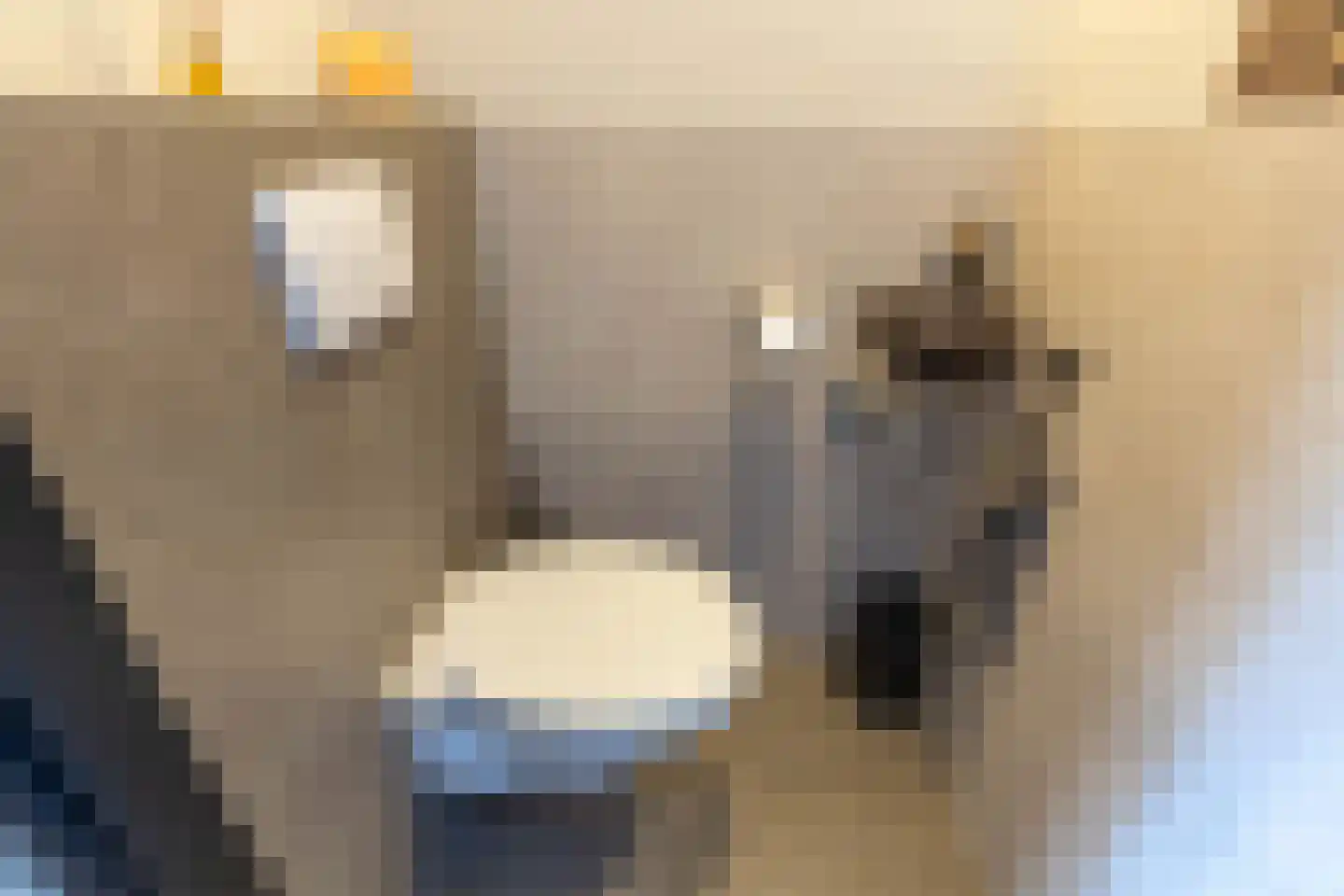 Vossestaart 8 Venray thumbnail 33
