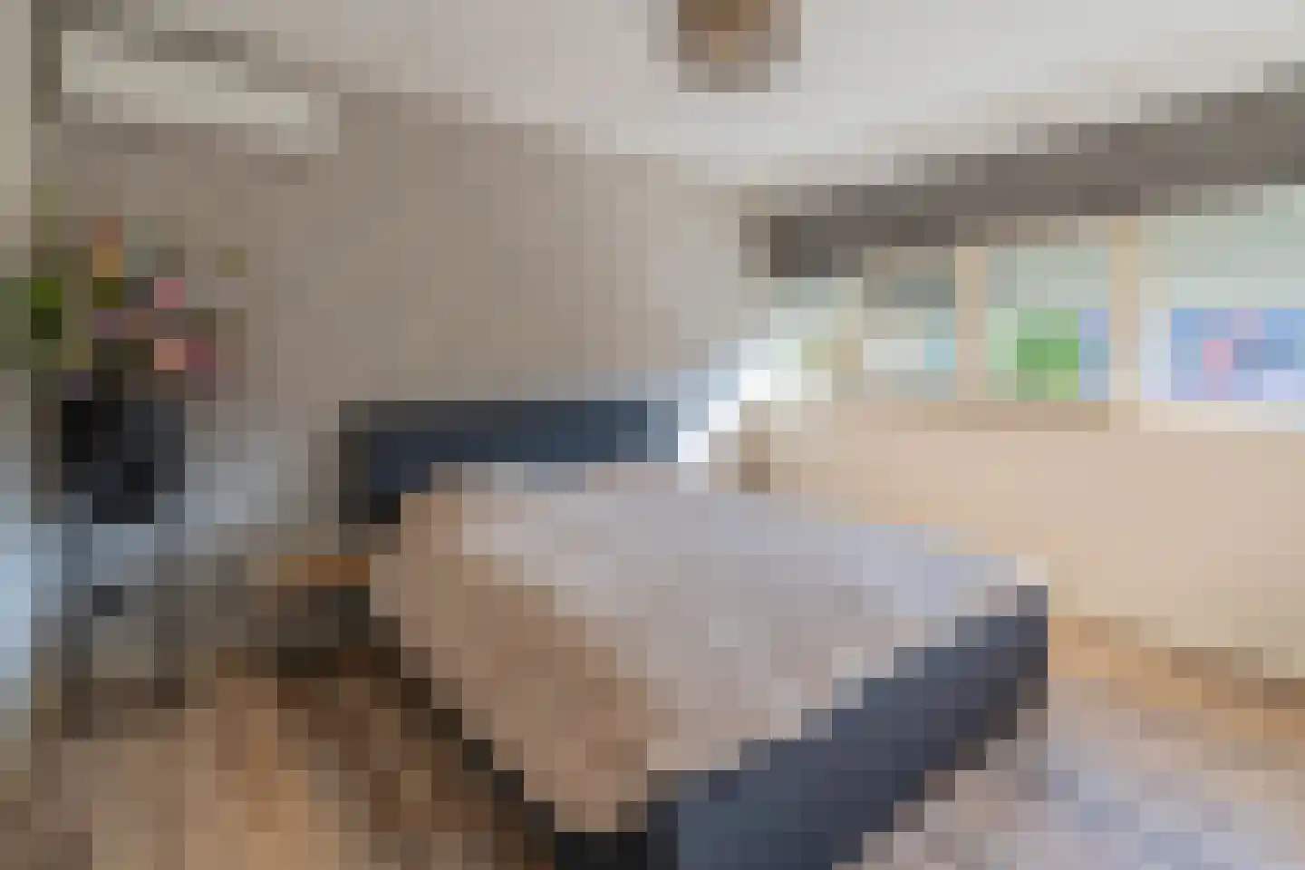 Vossestaart 8 Venray thumbnail 35