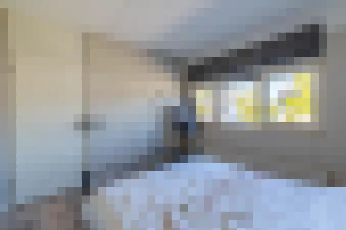 Vossestaart 8 Venray thumbnail 39