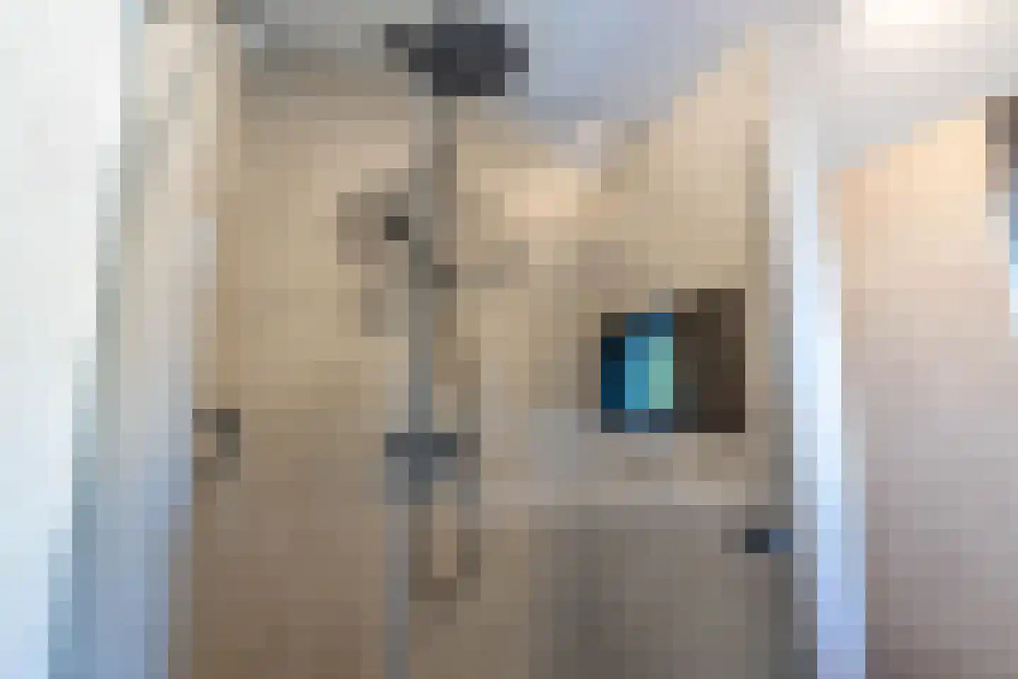 Vossestaart 8 Venray thumbnail 41